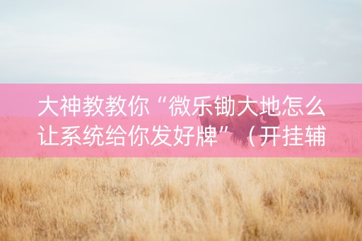 大神教教你“微乐锄大地怎么让系统给你发好牌”（开挂辅助器脚本)