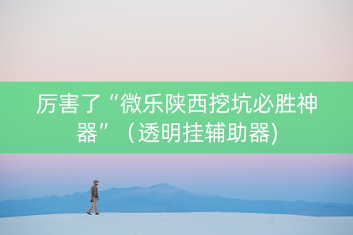 厉害了“微乐陕西挖坑必胜神器”（透明挂辅助器)