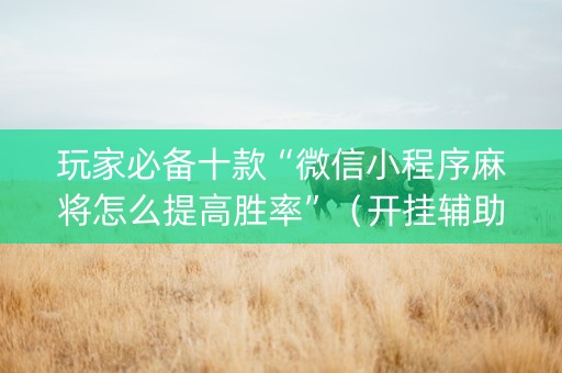 玩家必备十款“微信小程序麻将怎么提高胜率”（开挂辅助器脚本)