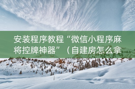 安装程序教程“微信小程序麻将控牌神器”（自建房怎么拿好牌)