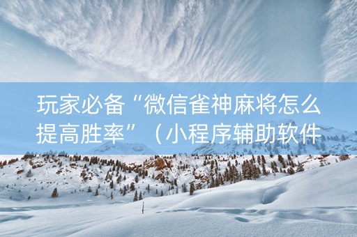 玩家必备“微信雀神麻将怎么提高胜率”（小程序辅助软件)