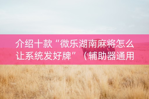 介绍十款“微乐湖南麻将怎么让系统发好牌”（辅助器通用版)