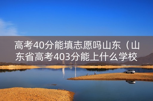 高考40分能填志愿吗山东（山东省高考403分能上什么学校?）