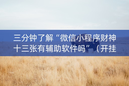 三分钟了解“微信小程序财神十三张有辅助软件吗”（开挂辅助器插件)