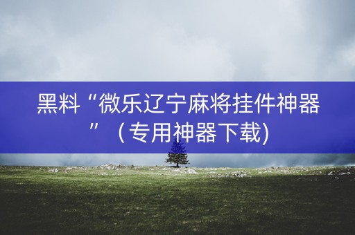 黑料“微乐辽宁麻将挂件神器”（专用神器下载)