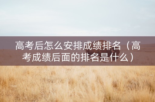 高考后怎么安排成绩排名（高考成绩后面的排名是什么）
