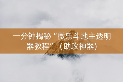一分钟揭秘“微乐斗地主透明器教程”（助攻神器)