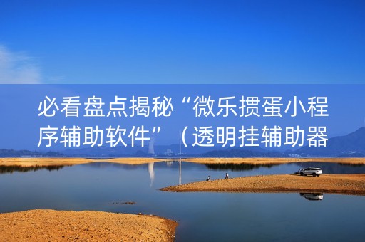 必看盘点揭秘“微乐掼蛋小程序辅助软件”（透明挂辅助器)