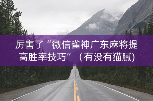厉害了“微信雀神广东麻将提高胜率技巧”（有没有猫腻)