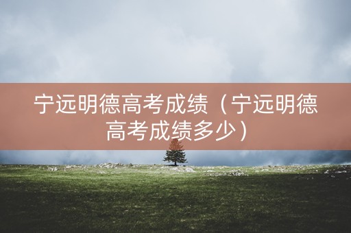 宁远明德高考成绩（宁远明德高考成绩多少）