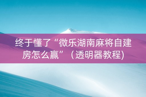 终于懂了“微乐湖南麻将自建房怎么赢”（透明器教程)