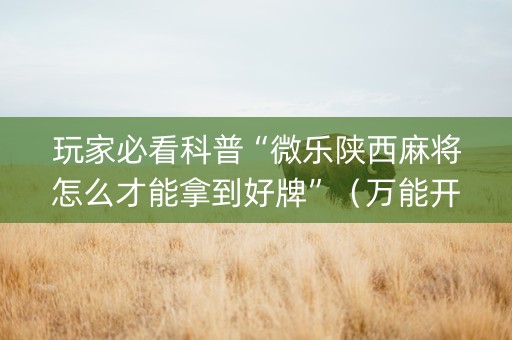 玩家必看科普“微乐陕西麻将怎么才能拿到好牌”（万能开挂器)