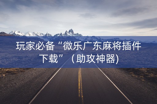 玩家必备“微乐广东麻将插件下载”（助攻神器)