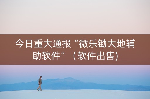 今日重大通报“微乐锄大地辅助软件”（软件出售)