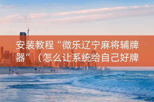 安装教程“微乐辽宁麻将辅牌器”（怎么让系统给自己好牌)