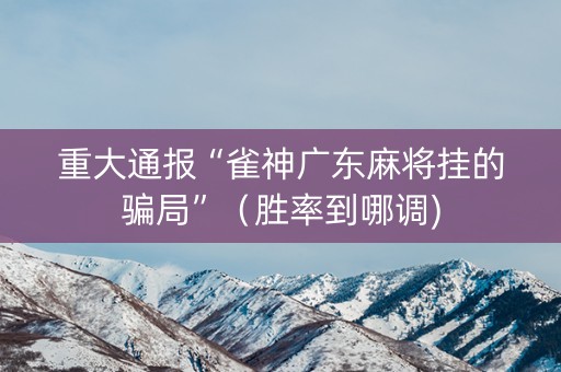 重大通报“雀神广东麻将挂的骗局”（胜率到哪调)