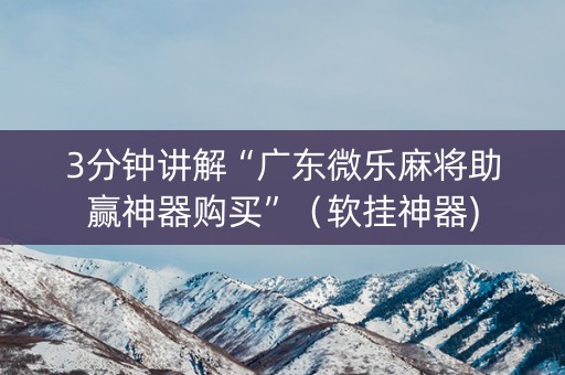 3分钟讲解“广东微乐麻将助赢神器购买”（软挂神器)