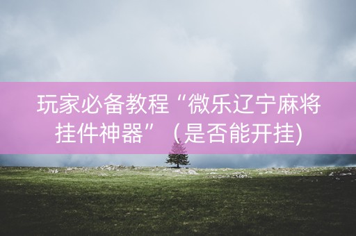 玩家必备教程“微乐辽宁麻将挂件神器”（是否能开挂)