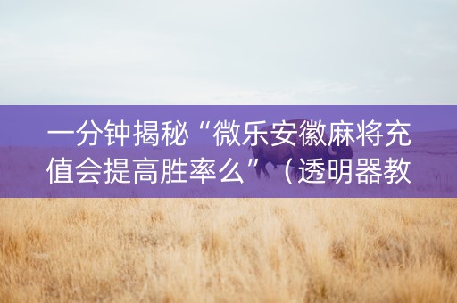 一分钟揭秘“微乐安徽麻将充值会提高胜率么”（透明器教程)