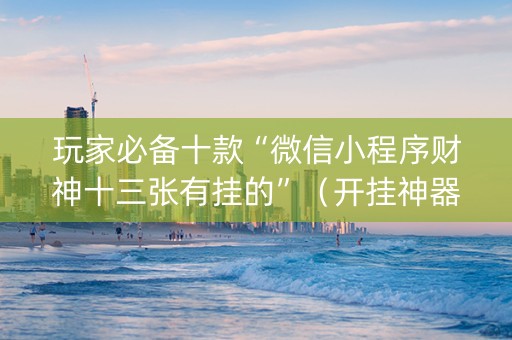 玩家必备十款“微信小程序财神十三张有挂的”（开挂神器下载)