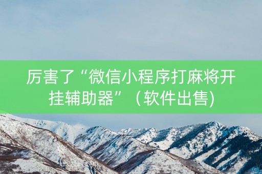 厉害了“微信小程序打麻将开挂辅助器”（软件出售)