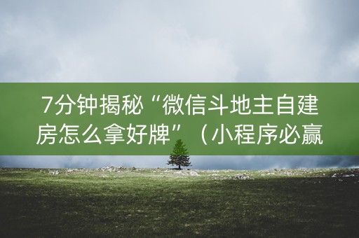 7分钟揭秘“微信斗地主自建房怎么拿好牌”（小程序必赢神器)