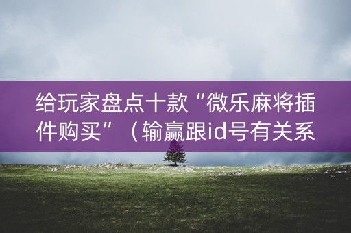 给玩家盘点十款“微乐麻将插件购买”（输赢跟id号有关系吗)