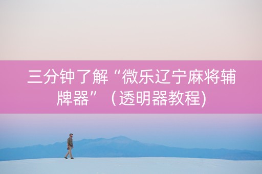 三分钟了解“微乐辽宁麻将辅牌器”（透明器教程)