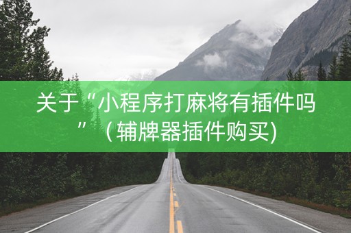 关于“小程序打麻将有插件吗”（辅牌器插件购买)