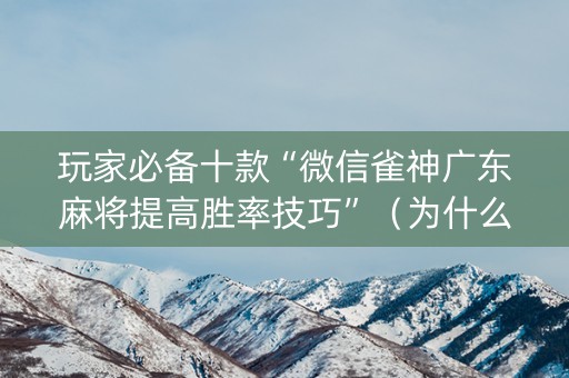 玩家必备十款“微信雀神广东麻将提高胜率技巧”（为什么有人一直赢)