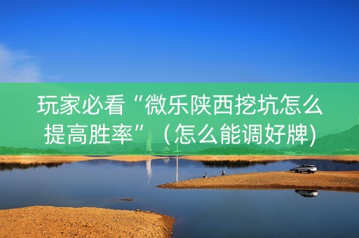 玩家必看“微乐陕西挖坑怎么提高胜率”（怎么能调好牌)