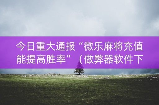 今日重大通报“微乐麻将充值能提高胜率”（做弊器软件下载)