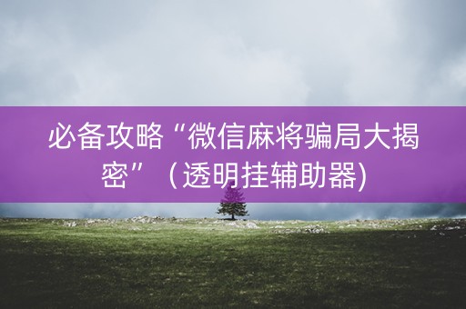 必备攻略“微信麻将骗局大揭密”（透明挂辅助器)