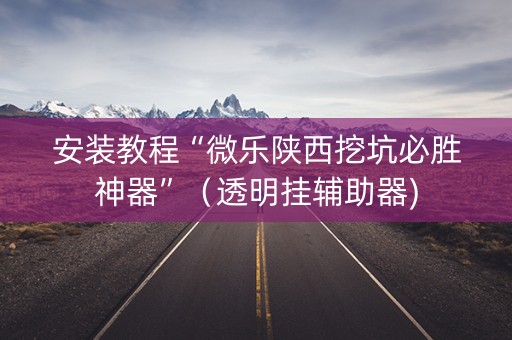 安装教程“微乐陕西挖坑必胜神器”（透明挂辅助器)