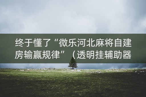 终于懂了“微乐河北麻将自建房输赢规律”（透明挂辅助器)