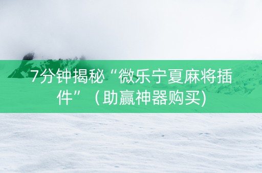 7分钟揭秘“微乐宁夏麻将插件”（助赢神器购买)