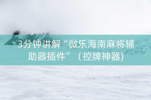 3分钟讲解“微乐海南麻将辅助器插件”（控牌神器)