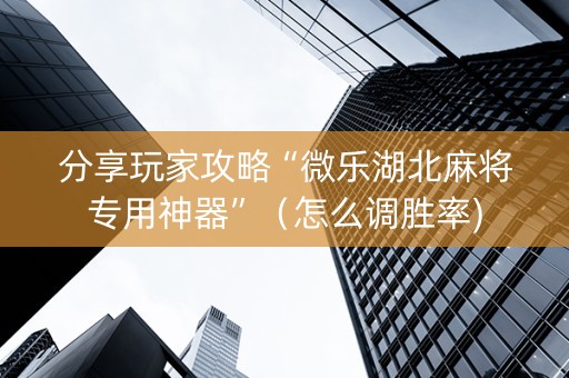 分享玩家攻略“微乐湖北麻将专用神器”（怎么调胜率)