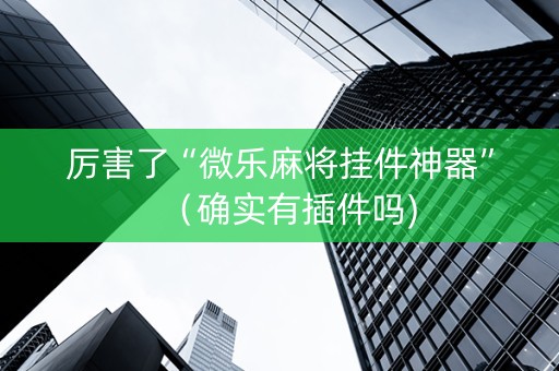 厉害了“微乐麻将挂件神器”（确实有插件吗)