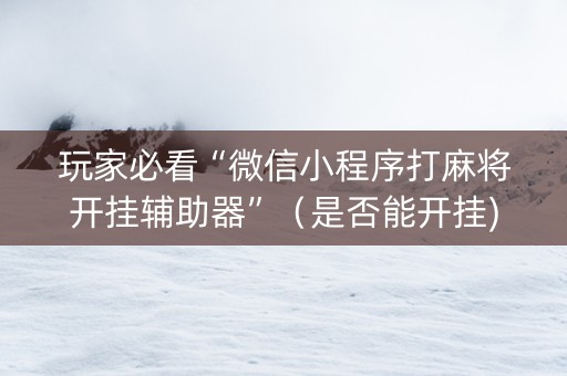玩家必看“微信小程序打麻将开挂辅助器”（是否能开挂)
