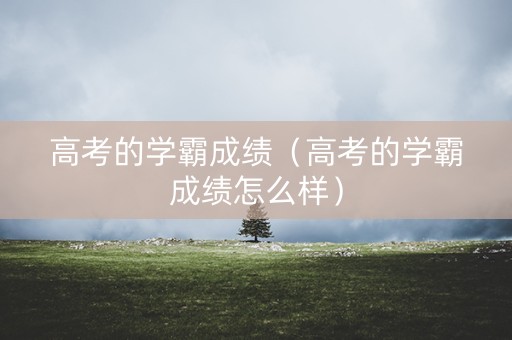 高考的学霸成绩（高考的学霸成绩怎么样）