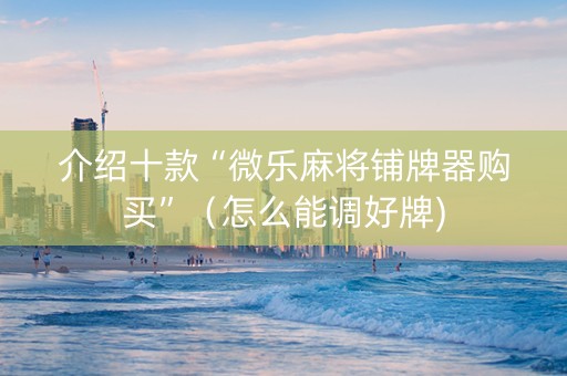 介绍十款“微乐麻将铺牌器购买”（怎么能调好牌)
