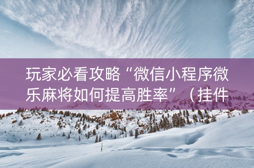 玩家必看攻略“微信小程序微乐麻将如何提高胜率”（挂件神器)