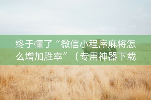 终于懂了“微信小程序麻将怎么增加胜率”（专用神器下载)