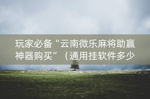 玩家必备“云南微乐麻将助赢神器购买”（通用挂软件多少钱)