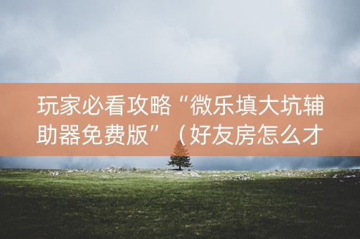 玩家必看攻略“微乐填大坑辅助器免费版”（好友房怎么才能赢)