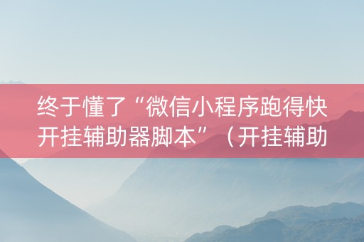终于懂了“微信小程序跑得快开挂辅助器脚本”（开挂辅助器插件)