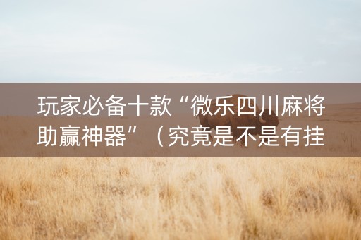 玩家必备十款“微乐四川麻将助赢神器”（究竟是不是有挂)