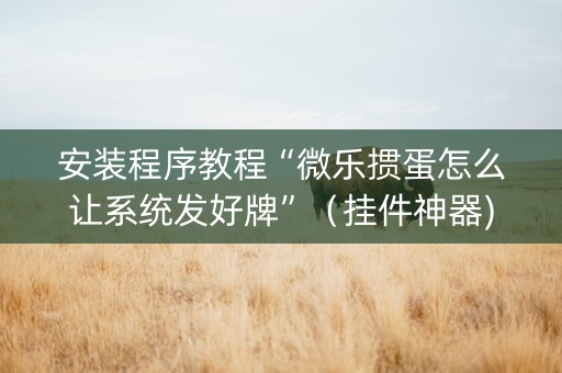 安装程序教程“微乐掼蛋怎么让系统发好牌”（挂件神器)