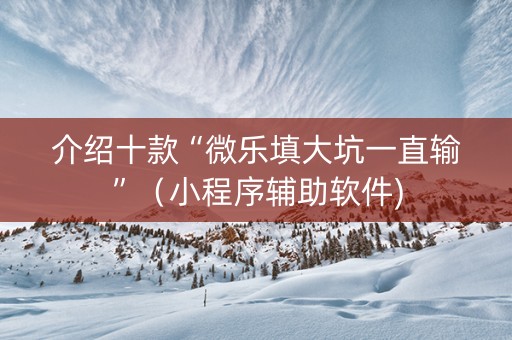 介绍十款“微乐填大坑一直输”（小程序辅助软件)